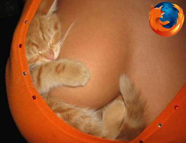 利用FireFox+Tunnelier+ssh冲浪