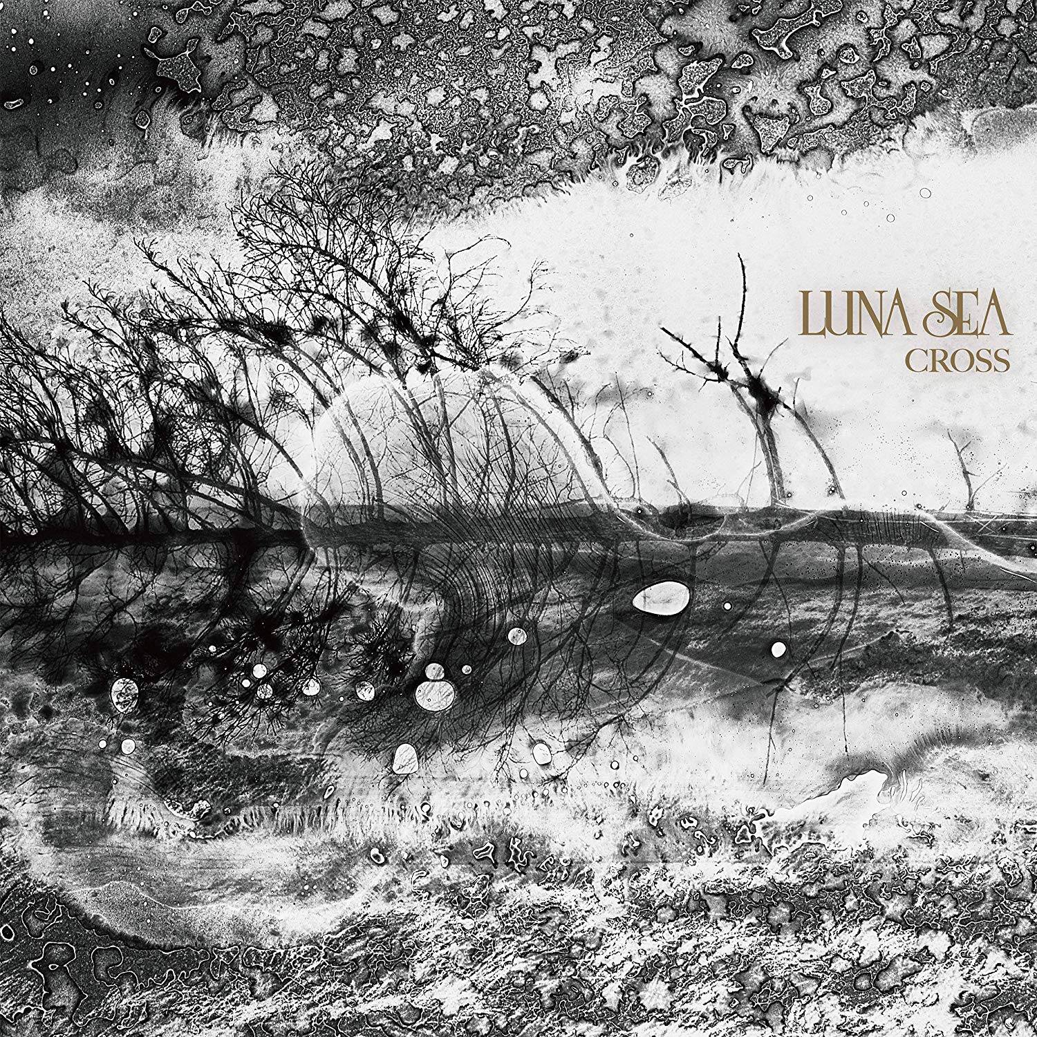 Luna Sea Philia 歌詞 Pv